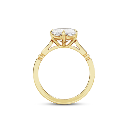 4 CT Iris