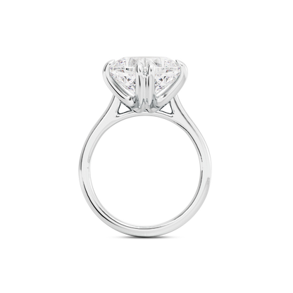 4 CT Vera