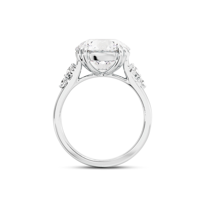 4 CT Sadie