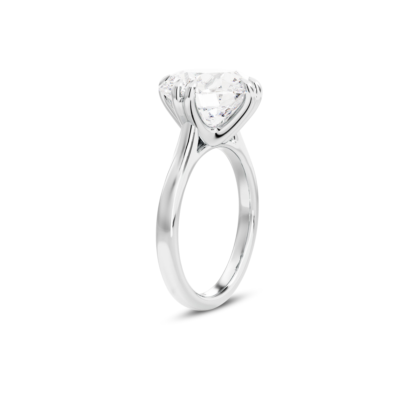 4 CT Vera