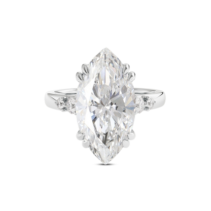 4 CT Sadie
