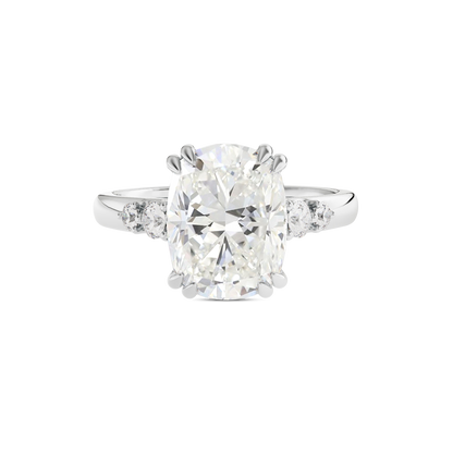 4 CT Sadie