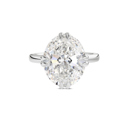 4 CT Vera