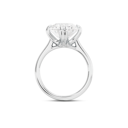 4 CT Vera