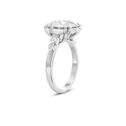 4 CT Sadie