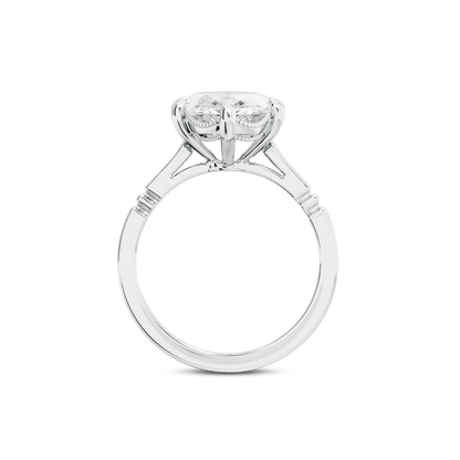 4 CT Iris