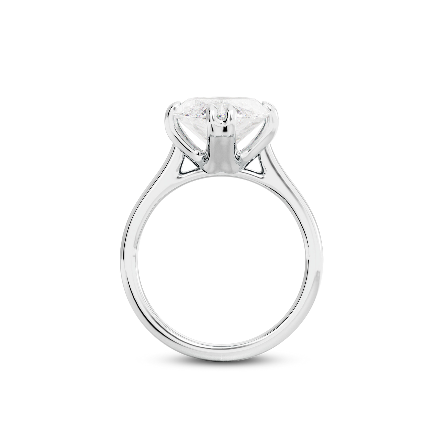 4 CT Vera