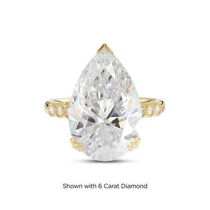 5.5 CT Celeste
