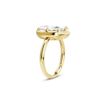 5.5 CT Clara