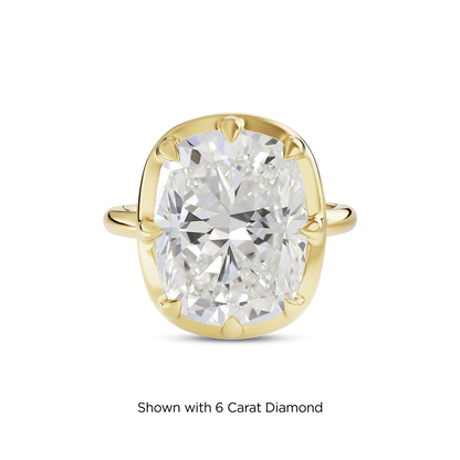 5.5 CT Clara