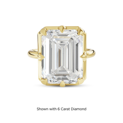 5.5 CT Clara