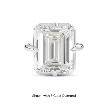 5.5 CT Clara