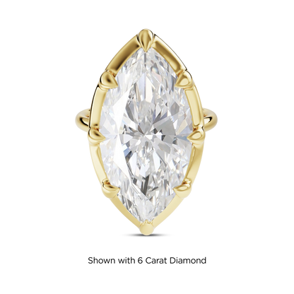 5.5 CT Clara