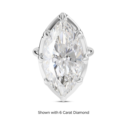 5.5 CT Clara