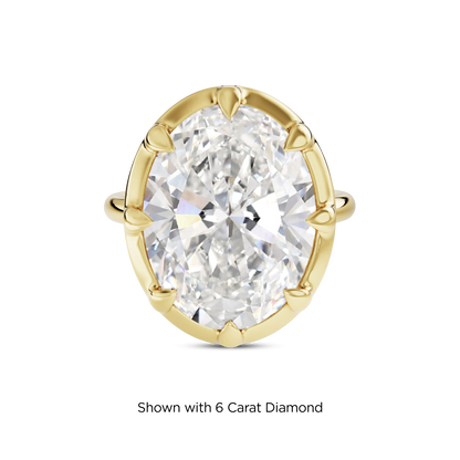 5.5 CT Clara