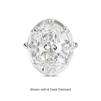 5.5 CT Clara