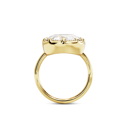 5.5 CT Clara