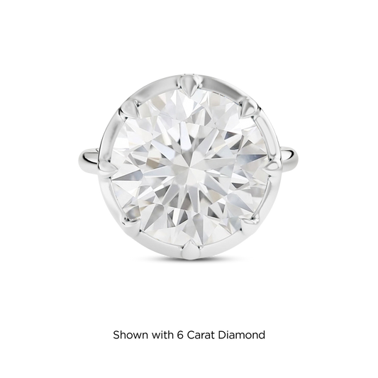 5.5 CT Clara