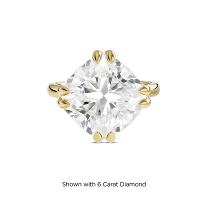 5.5 CT Vera