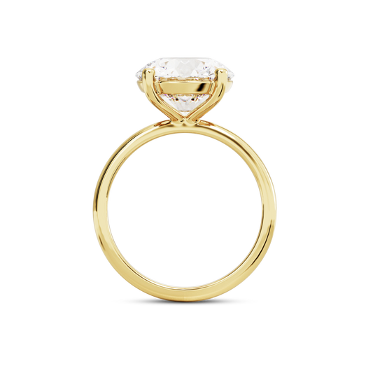 5.5 CT Eliza