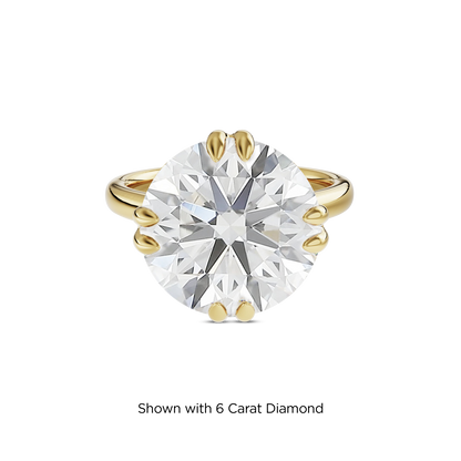 5.5 CT Vera