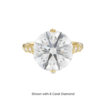 5.5 CT Celeste
