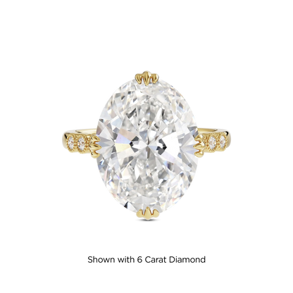 5.5 CT Celeste