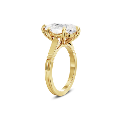 5 CT Iris
