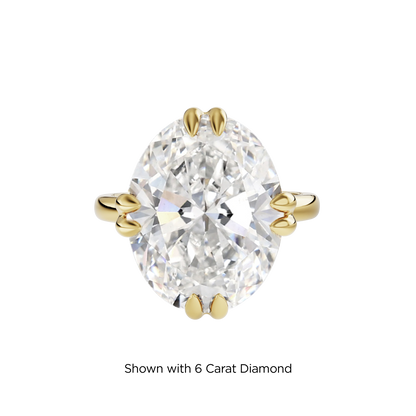 5.5 CT Vera