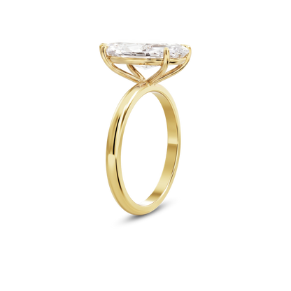 5.5 CT Eliza
