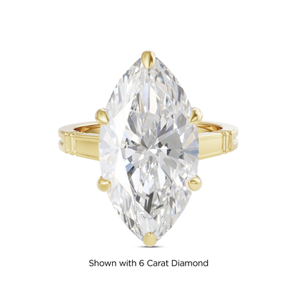 5.5 CT Iris