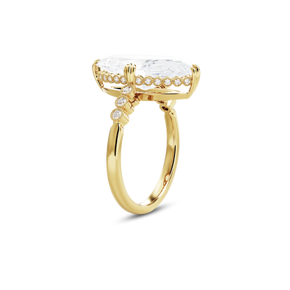 5.5 CT Celeste