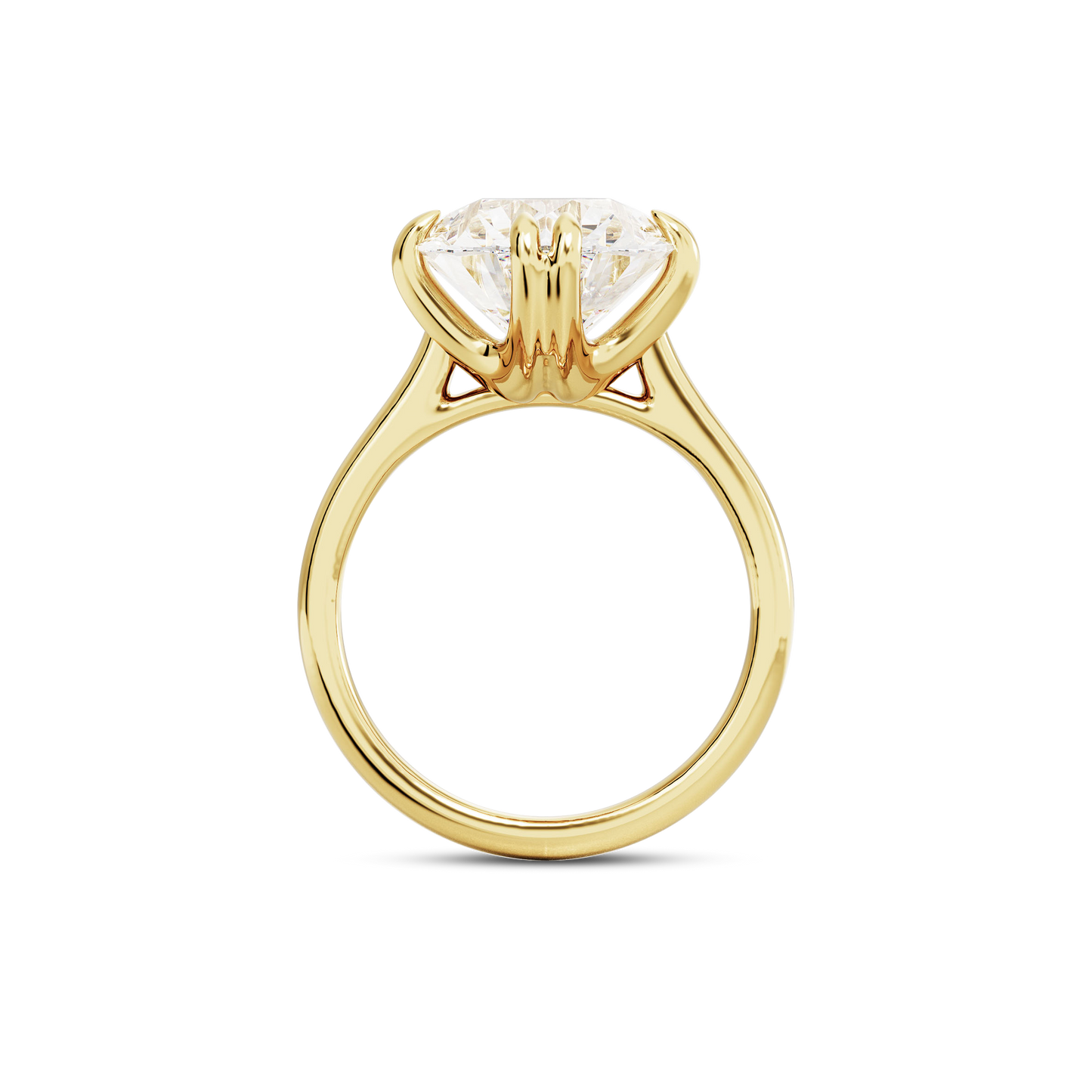 5.5 CT Vera