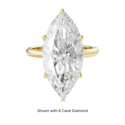 5.5 CT Eliza