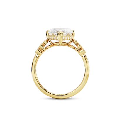 5.5 CT Celeste