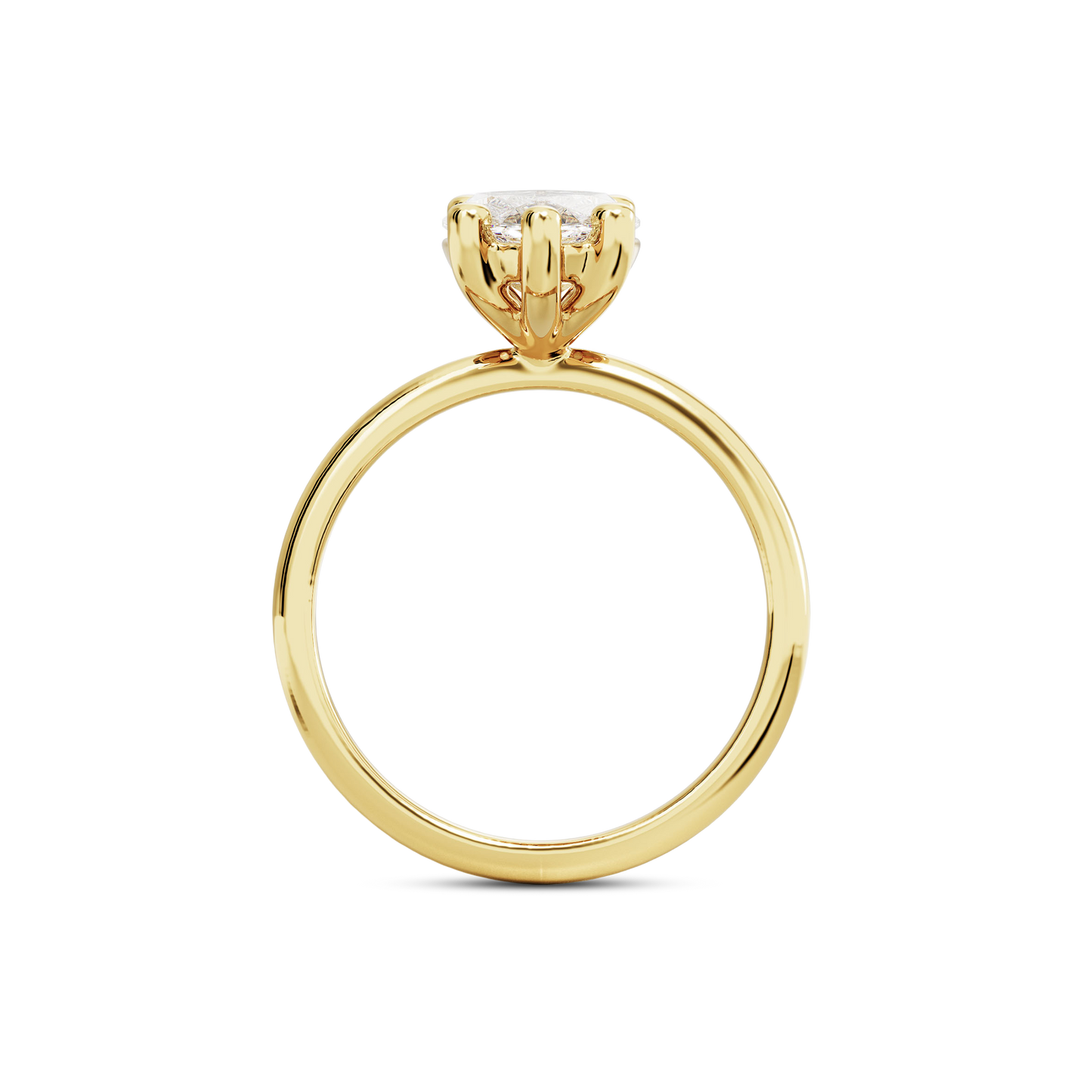 5.5 CT Eliza