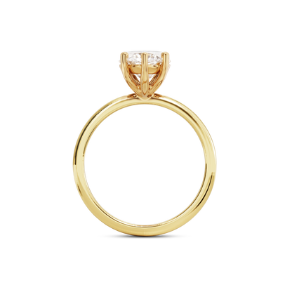 5.5 CT Eliza