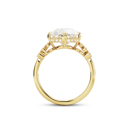 5.5 CT Celeste