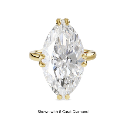 5.5 CT Vera