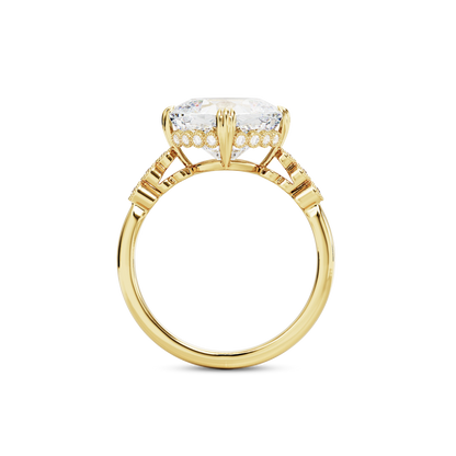 5.5 CT Celeste