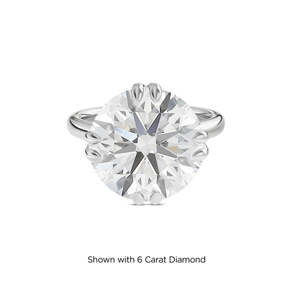 5.5 CT Vera