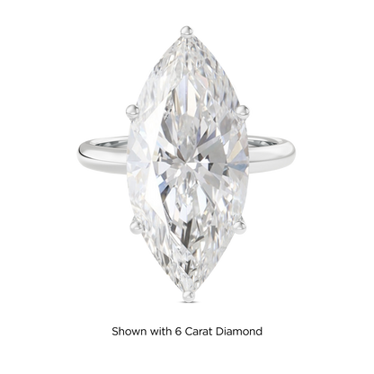 5.5 CT Eliza