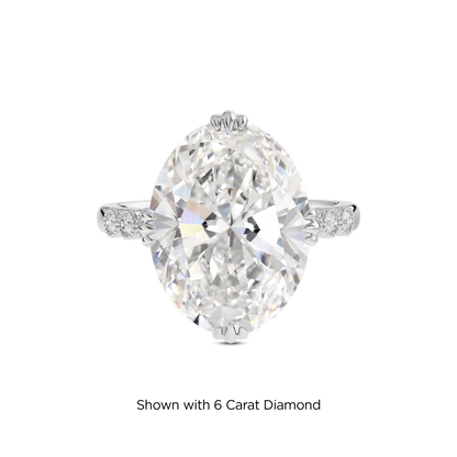 5.5 CT Celeste