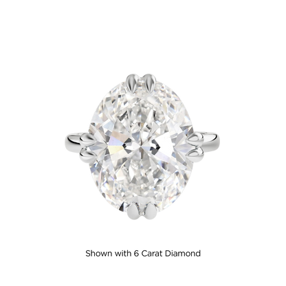 5.5 CT Vera