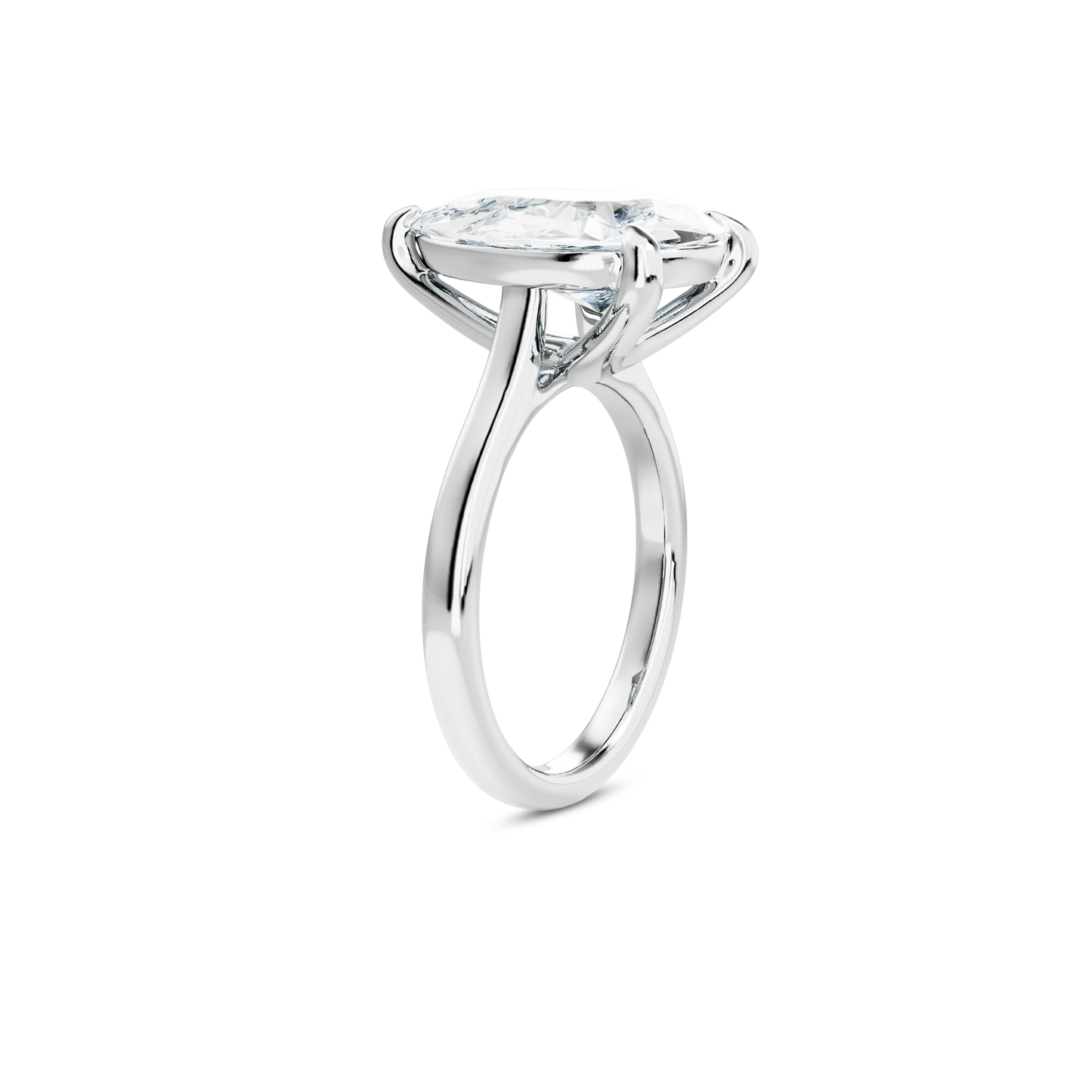 5.5 CT Vera