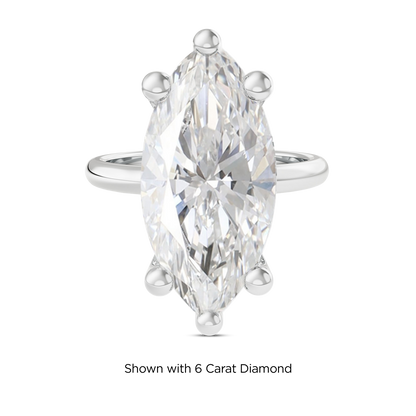 5.5 CT Eliza