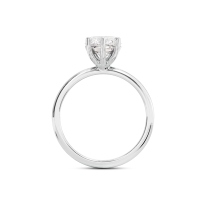 5.5 CT Eliza