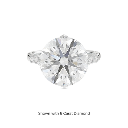 5.5 CT Celeste
