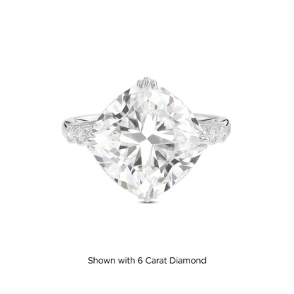 5.5 CT Celeste