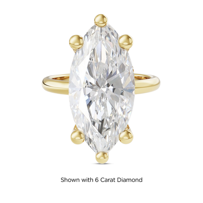 5.5 CT Eliza